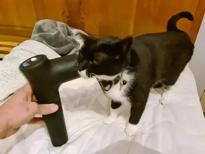 Beurer MG 185 pistolet do masażu – test, opinie, ranking i kompletny przewodnik 2026